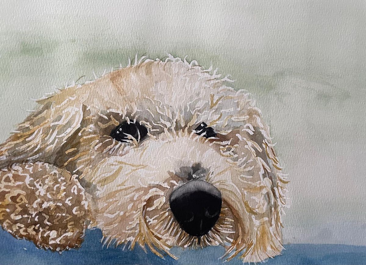 Watercolour portrait of a curly-haired dog