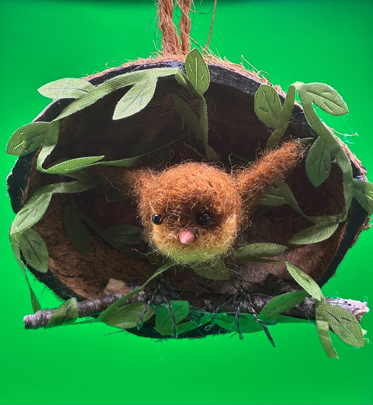 Robin in a coconut nest